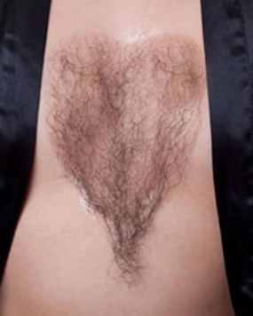 947 Chest Hair