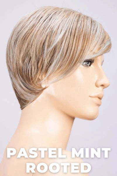 Accessories_Ellen Wille_Wigs Ellen Wille Wigs - Link