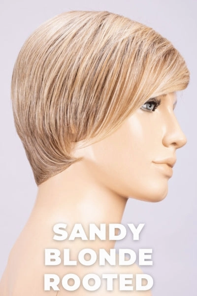 Accessories_Ellen Wille_Wigs Ellen Wille Wigs - Link