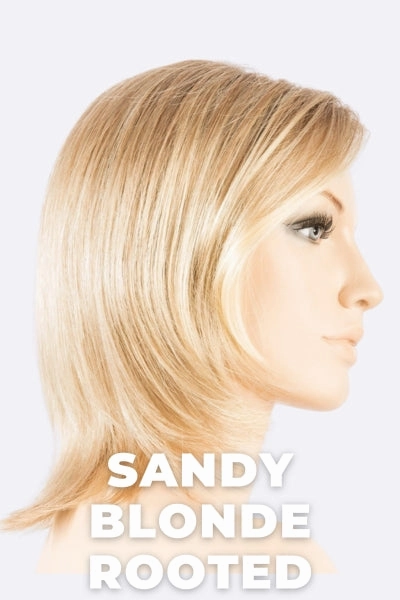 Accessories_Ellen Wille_Wigs Ellen Wille Wigs - United