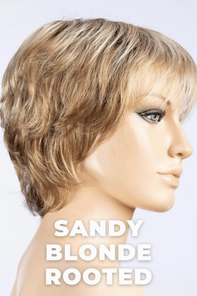 Accessories_Ellen Wille_Wigs Ellen Wille Wigs - Vanity