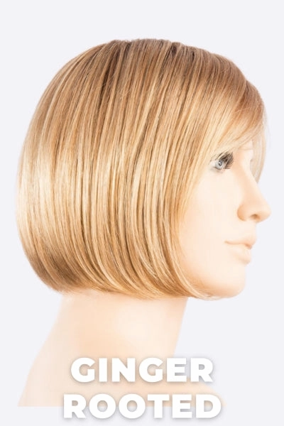 Accessories_Ellen Wille_Wigs Ellen Wille Wigs - Vista