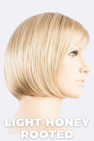 Accessories_Ellen Wille_Wigs Ellen Wille Wigs - Vista
