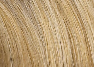 Accessories_Ellen Wille_Wigs Prosecco Synthetic Clip-In Pony by Ellen Wille - FINAL SALE