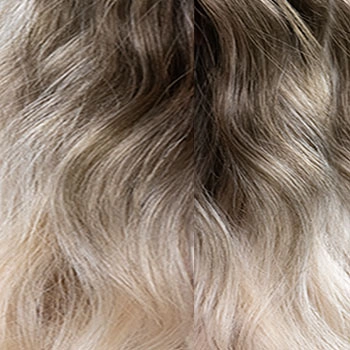Accessories_Jon Renau_Wigs Alessandra