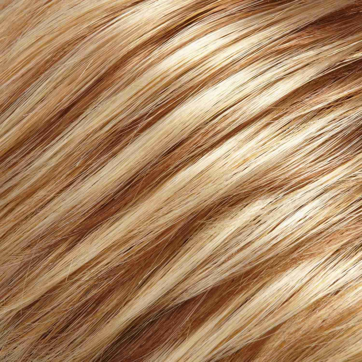 Accessories_Jon Renau_Wigs Cameron Large Wig by Jon Renau | Synthetic (Lace Front 100% Hand Tied Mono Top)