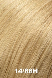 Accessories_Jon Renau_Wigs Courage by Jon Renau