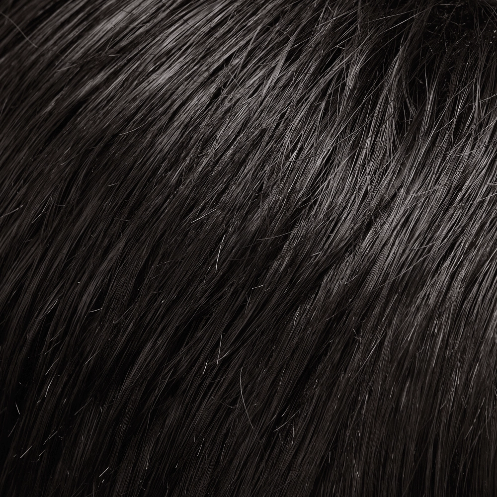 Accessories_Jon Renau_Wigs easiExtensions 16" Human Hair Extensions by Jon Renau