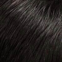 Accessories_Jon Renau_Wigs easiPieces 16" L x 9" W by Jon Renau |Discontinued | Final Sale: No refunds or exchanges