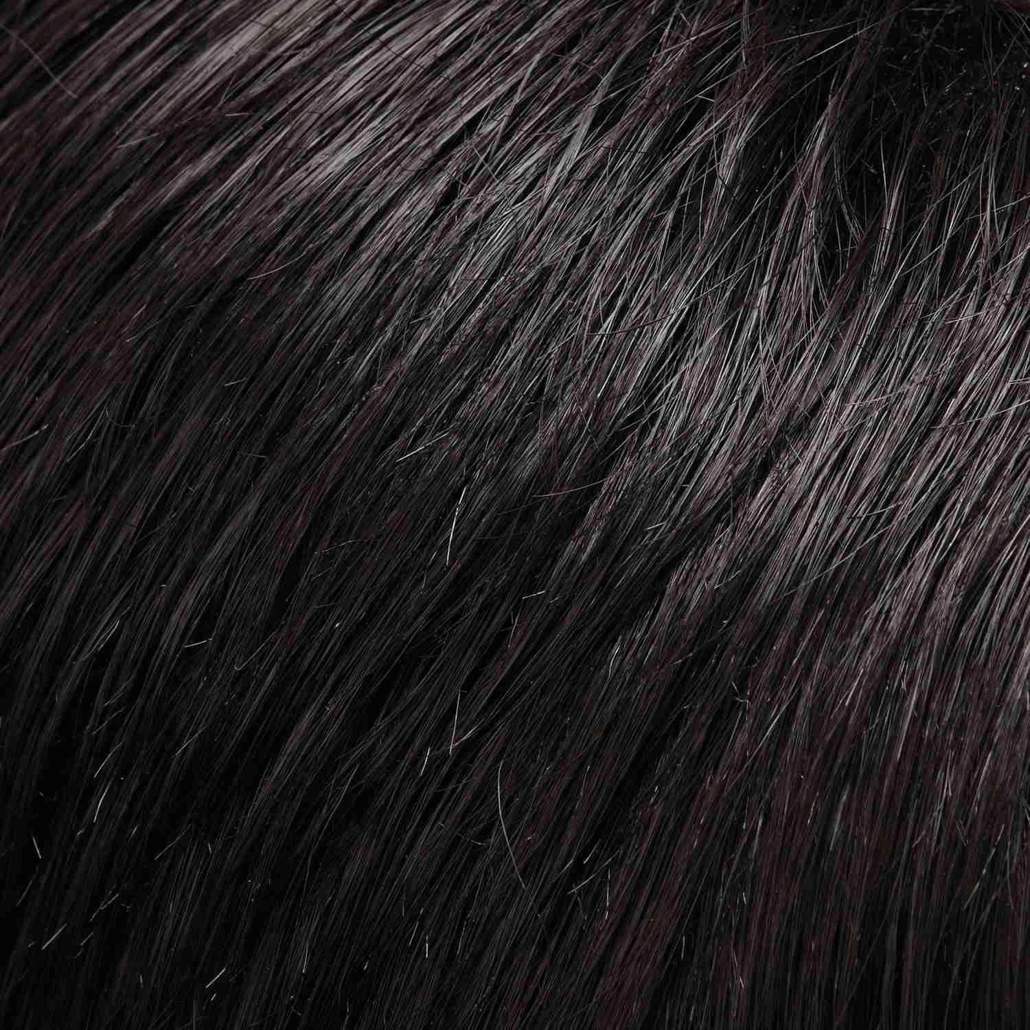Accessories_Jon Renau_Wigs easiVolume 10" by Jon Renau | 100% Human Hair Extension (Clip In)