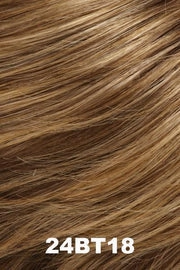 Accessories_Jon Renau_Wigs Elite by Jon Renau