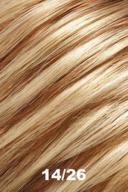 Accessories_Jon Renau_Wigs Elite by Jon Renau