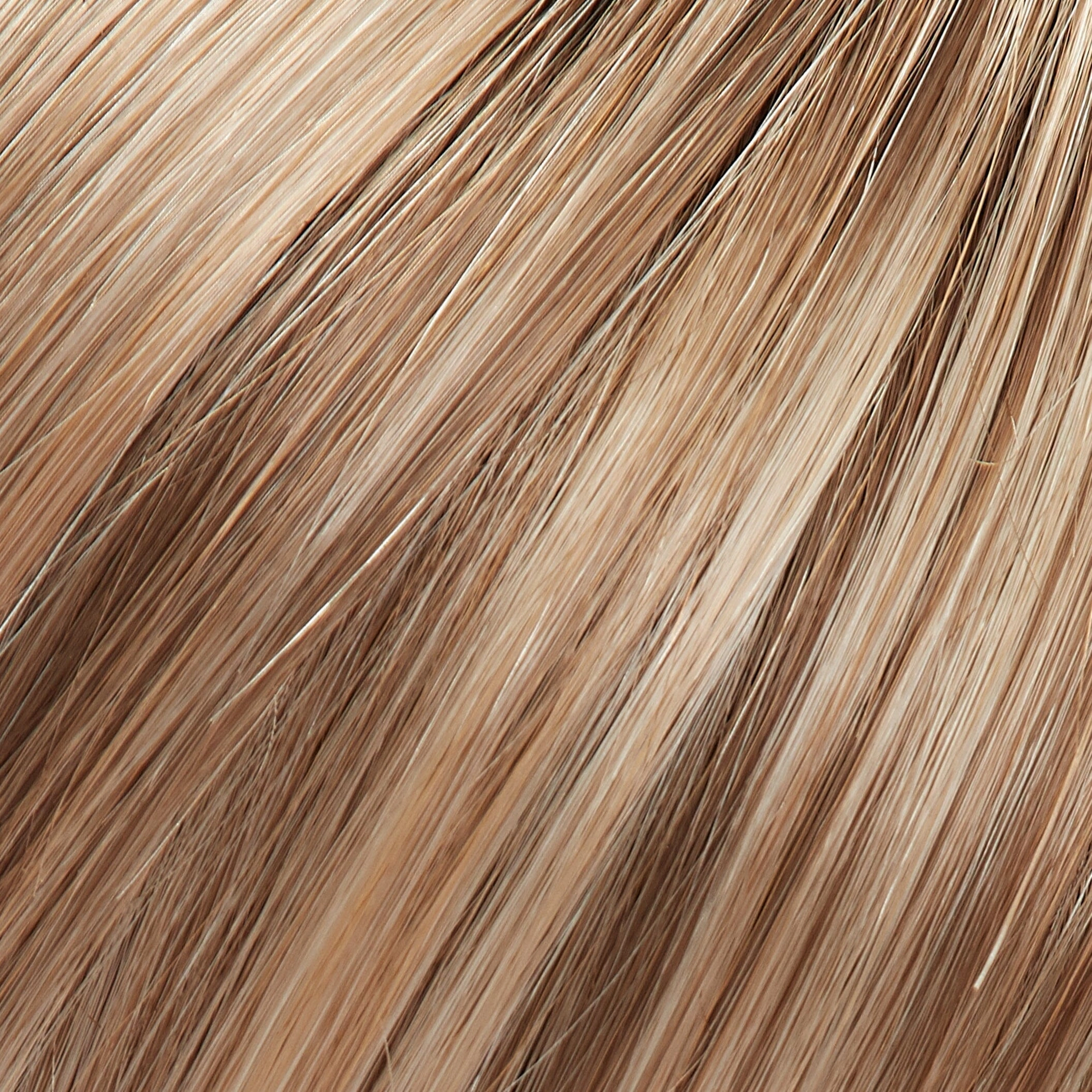 Accessories_Jon Renau_Wigs Evan Wig by Jon Renau