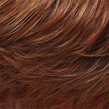 Accessories_Jon Renau_Wigs Evan