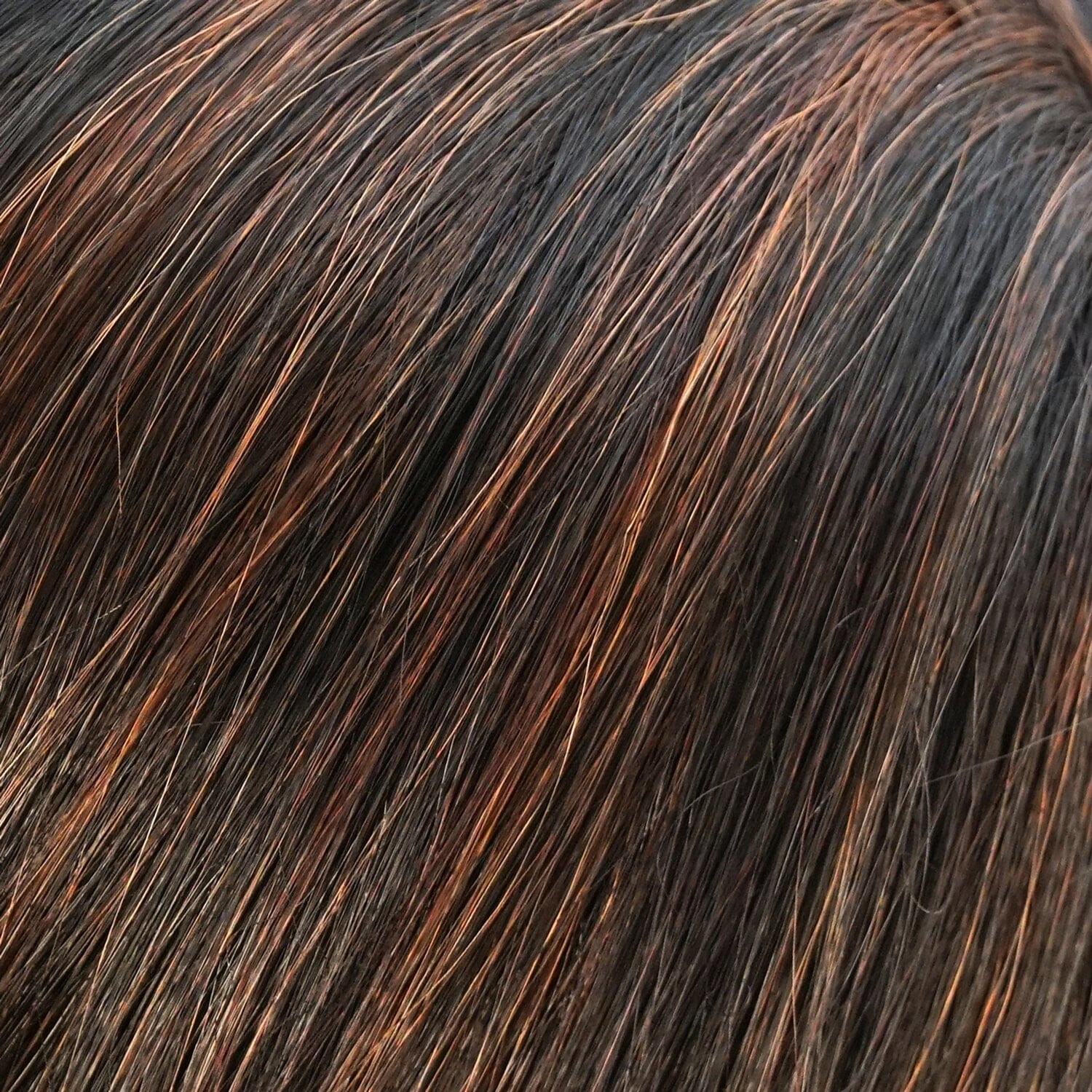 Accessories_Jon Renau_Wigs Ignite Heat Defiant Wig by Jon Renau