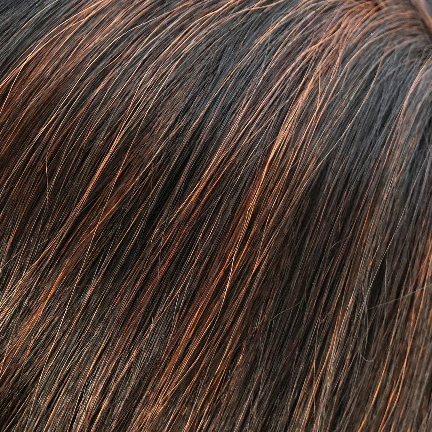 Accessories_Jon Renau_Wigs Ignite Large Cap by Jon Renau