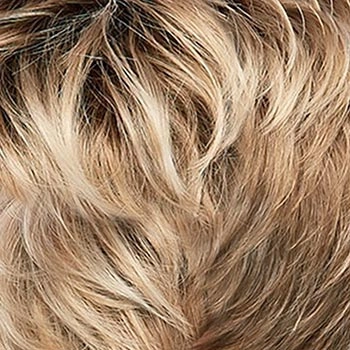 Accessories_Jon Renau_Wigs Kim Exclusive