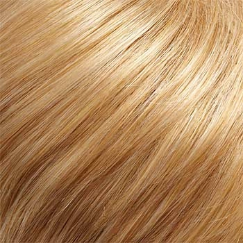 Accessories_Jon Renau_Wigs Top Style 12 in