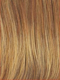 Accessories_Raquel Welch_Wigs Advanced French Wig by Raquel Welch