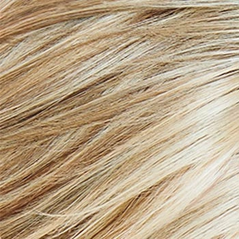 Accessories_Raquel Welch_Wigs Always