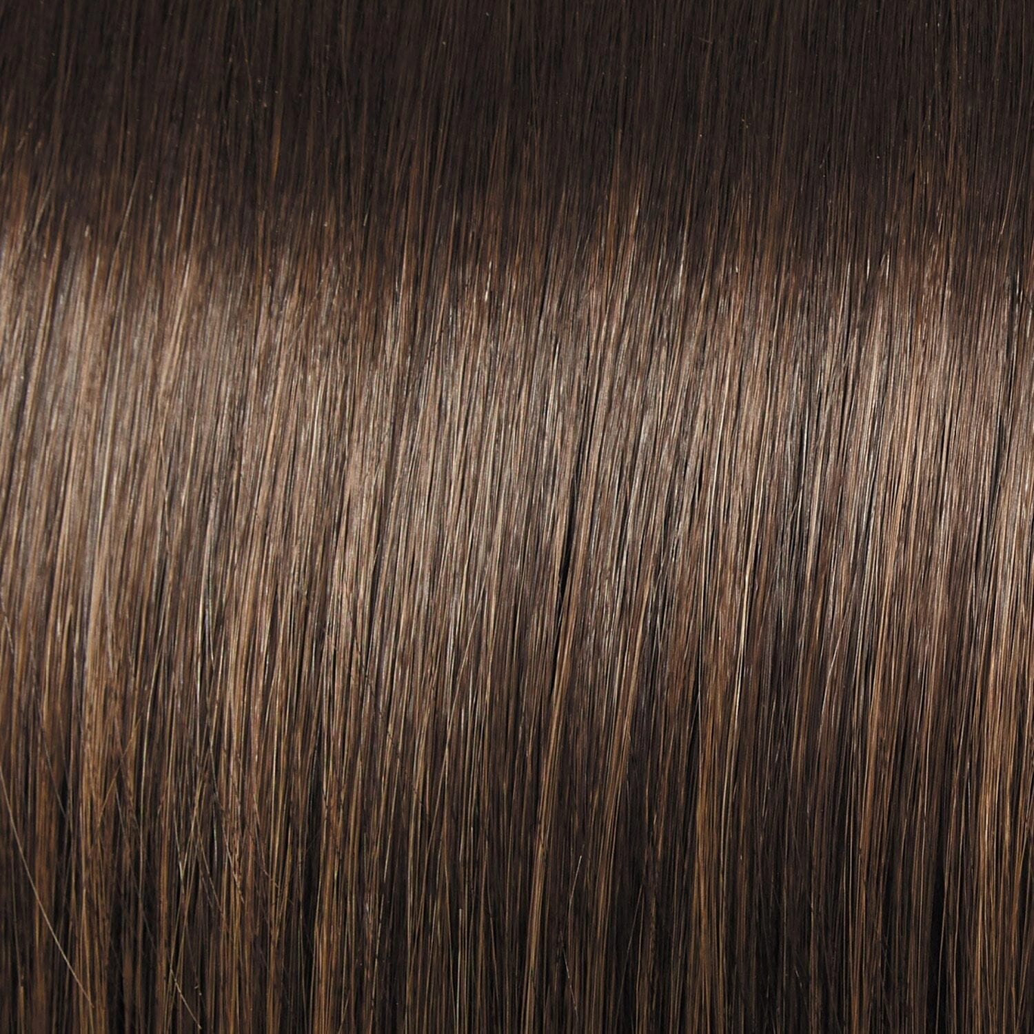 Accessories_Raquel Welch_Wigs Beautiful Illusion Top Piece by Raquel Welch