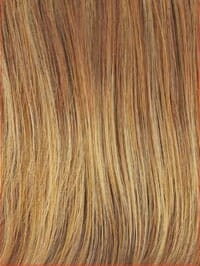 Accessories_Raquel Welch_Wigs Beautiful Illusion Top Piece by Raquel Welch