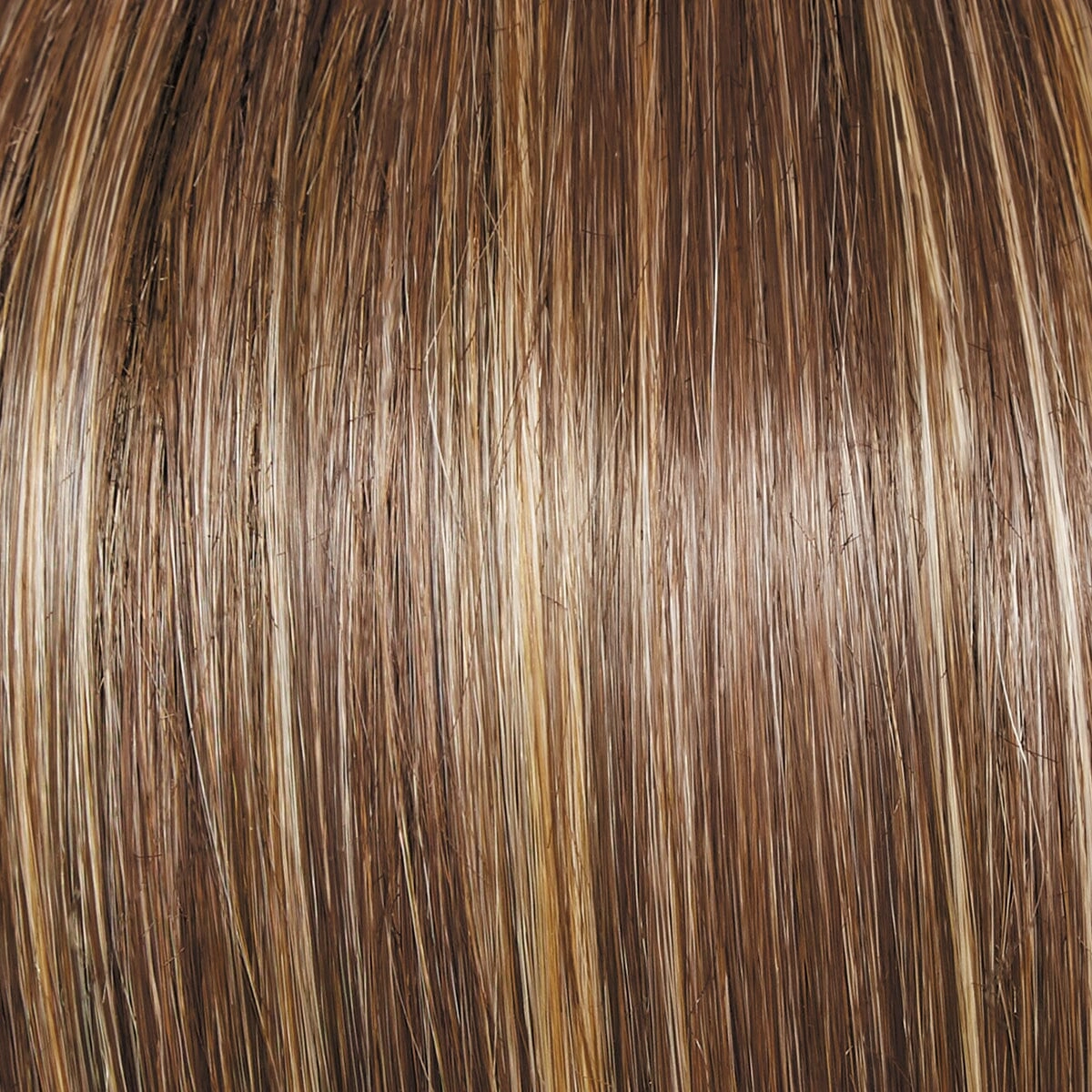 Accessories_Raquel Welch_Wigs Captivating Canvas Wig by Raquel Welch