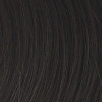 Accessories_Raquel Welch_Wigs Classic Cool Wig by Raquel Welch