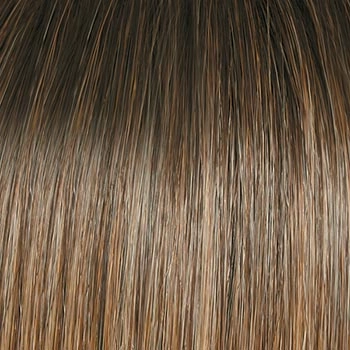 Accessories_Raquel Welch_Wigs Flash Forward