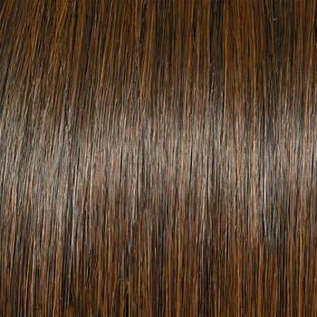 Accessories_Raquel Welch_Wigs Flash Forward