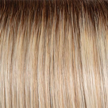 Accessories_Raquel Welch_Wigs Flash Forward