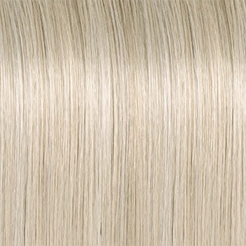 Accessories_Raquel Welch_Wigs Flip the Script