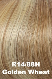 Accessories_Raquel Welch_Wigs Gilded 12&quot; Human Hair Topper by Raquel Welch | Mono Top