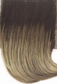 Accessories_Raquel Welch_Wigs Go To Style Wig by Raquel Welch