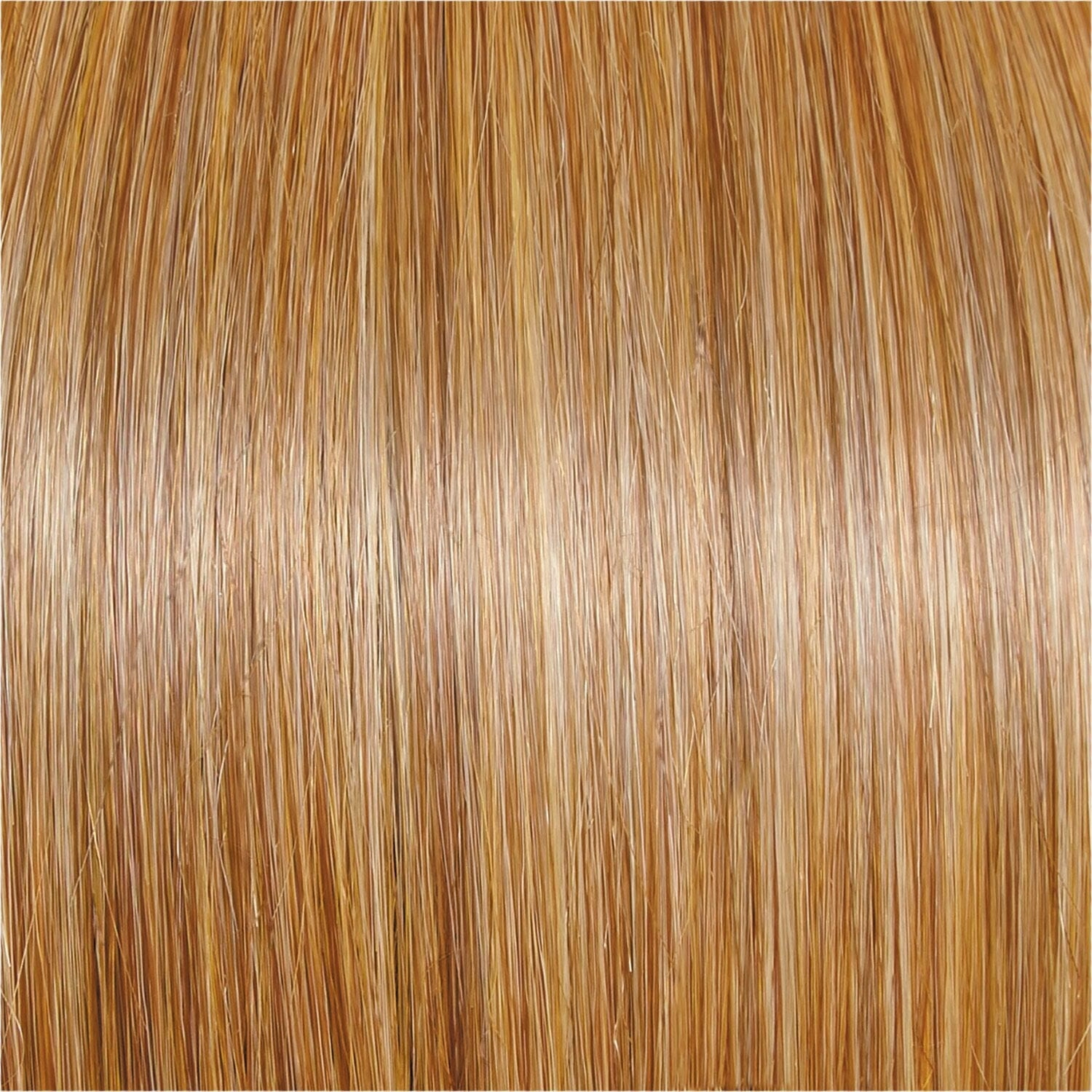 Accessories_Raquel Welch_Wigs Go To Style Wig by Raquel Welch