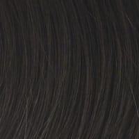 Accessories_Raquel Welch_Wigs Stop Traffic Synthetic Wig by Raquel Welch