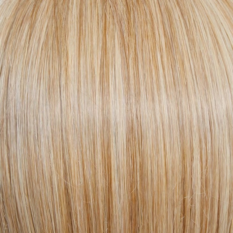 Accessories_Raquel Welch_Wigs Straight to Camera Wig by Raquel Welch