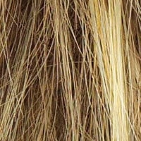 Accessories_Raquel Welch_Wigs Voltage Petite by Raquel Welch