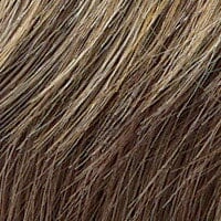 Accessories_Raquel Welch_Wigs Winner LARGE Wig by Raquel Welch