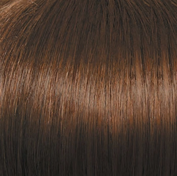 Accessories_Raquel Welch_Wigs Winner Premium