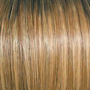 Accessories_Raquel Welch_Wigs Winner Premium