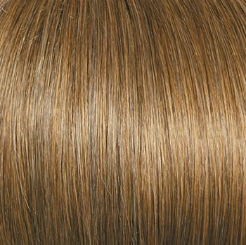 Accessories_Raquel Welch_Wigs Winner Premium
