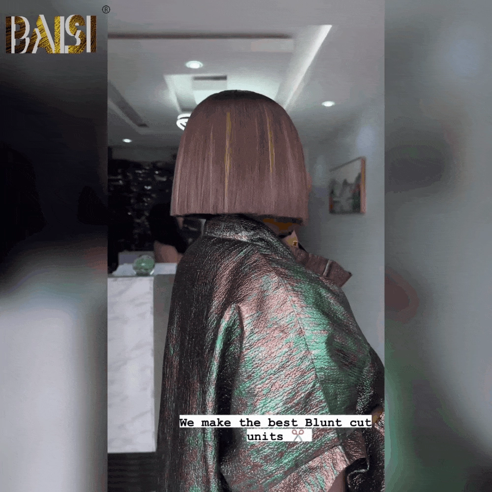 BAISI 2X6 Lace Double Drawn Brown Highlight Wig
