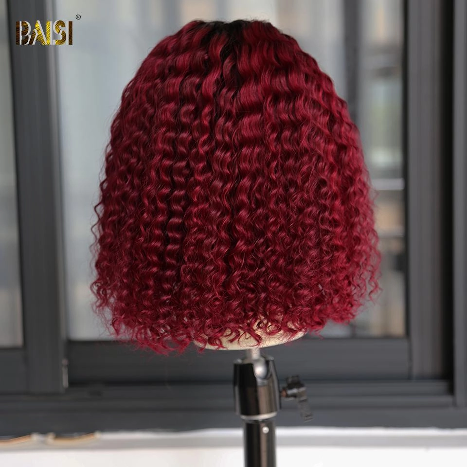 BAISI Color Bob Wig 1b/99j 100% Human Hair