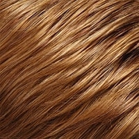 Cameron Large wig - SmartLace Collection Jon Renau