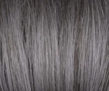 Carson wig - Rene of Paris Hi-Fashion