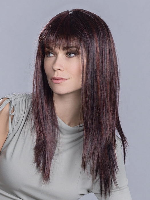 Cher Wig by Ellen Wille | High Power | Heat Friendly Synthetic