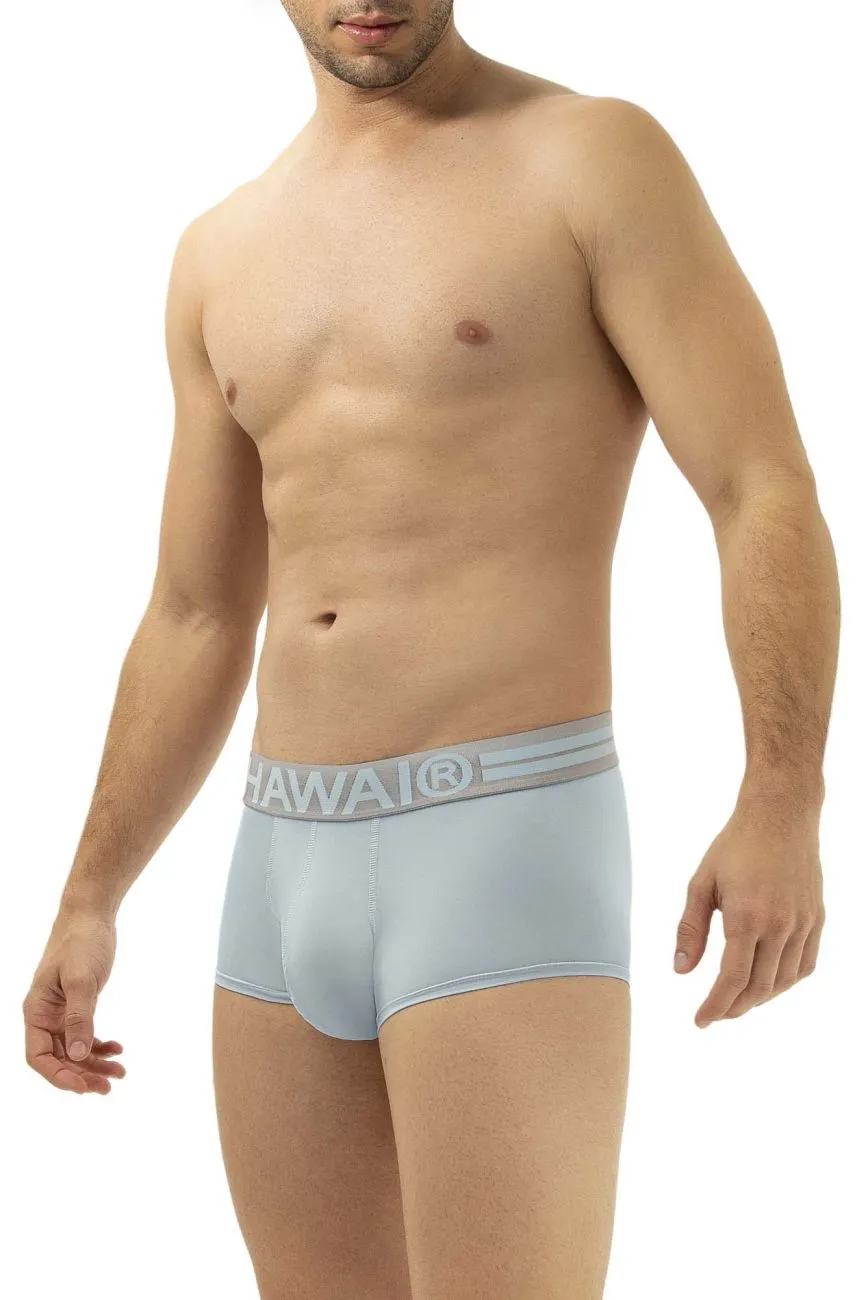 Clothing_Hawair_Mens Underwear HAWAI 41961 Microfiber Briefs Color Light Blue