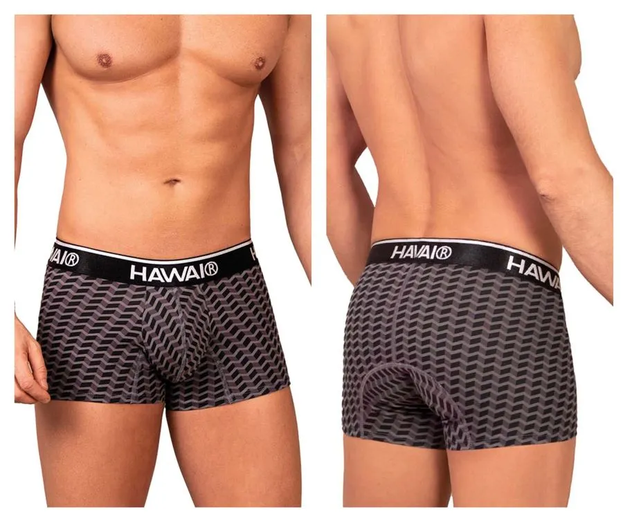 Clothing_Hawair_Mens Underwear HAWAI 42371 Printed Trunks Color Gray