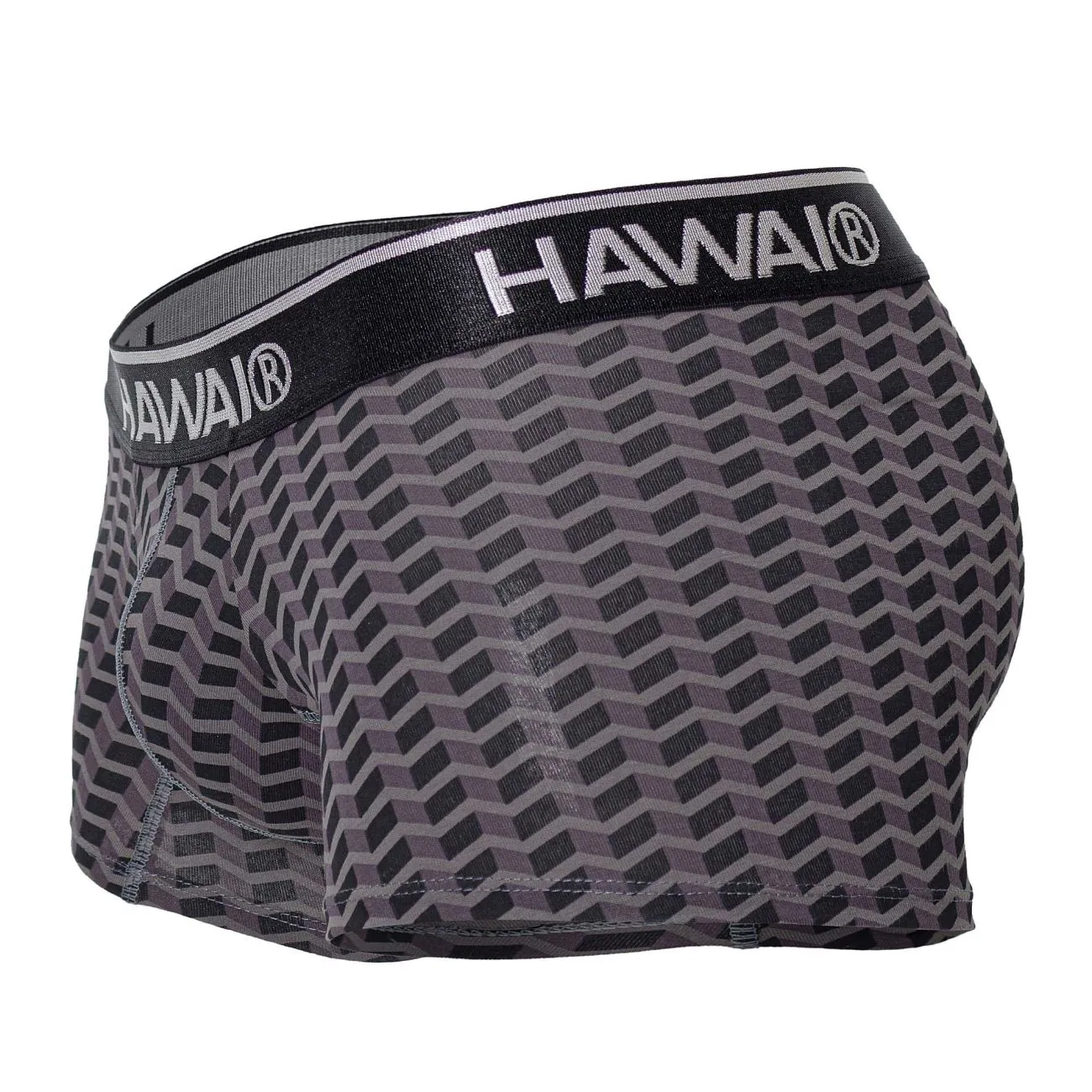 Clothing_Hawair_Mens Underwear HAWAI 42371 Printed Trunks Color Gray
